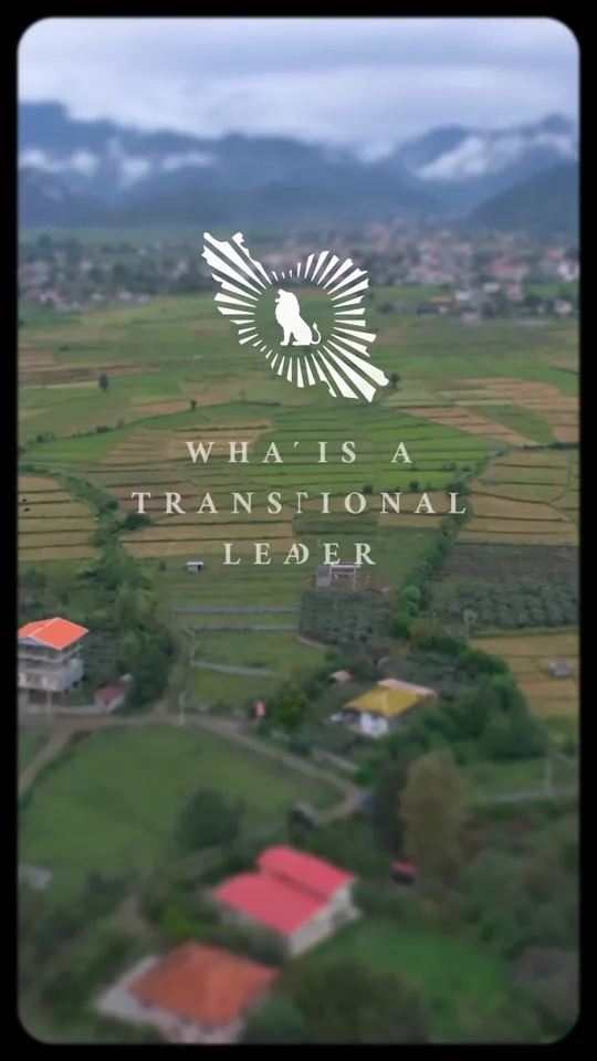 What Is a Transitional Leader?